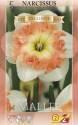 Нарцисс Мейлли крупноцветковый 5 шт 12-14