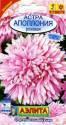 Астра Аполлония розовая Аэл
