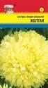 Астра Леди корал желтая УУ