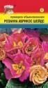 Примула Розанна F1 абрикос шейдс УУ