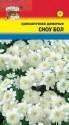 Хризантема Сноу Бол девичья УУ