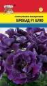 Глоксиния Брокад блю F1 УУ