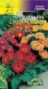 Гербера Смесь сортов ЦС