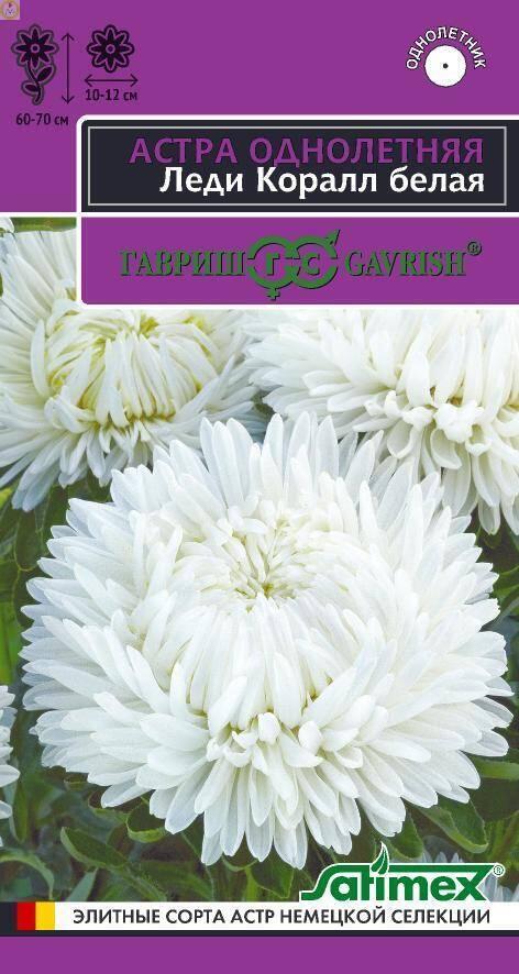 Астра Леди Корал белая 0,05 г Гав