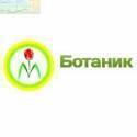 Дыня Росинка Сибирская селекция СА
