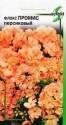 Флокс Промис персиковый ССО
