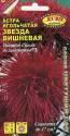 Астра Звезда вишневая игольчатая Аэл