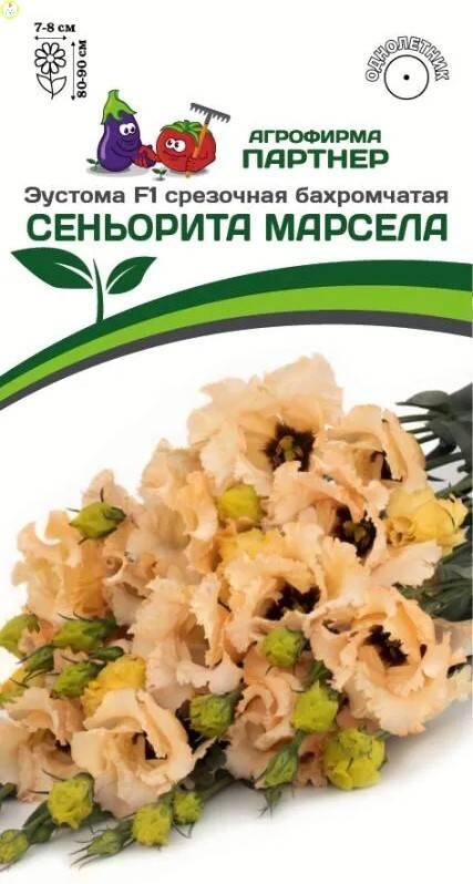 Эустома СЕНЬОРИТА МАРСЕЛА F1 Пар