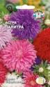 Астра Палитра смесь сортов Сед