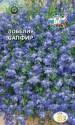 Лобелия Сапфир ампельная Сед