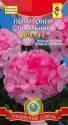 Пеларгония Ярка зональная F1 Плз