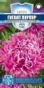 Астра Гигант пурпур серия Русский богатырь Гав