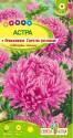 Астра Апполония светло-розовая СА