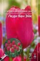 Тюльпан Леди Ван Эйк дарвиновые 7 шт 11/12