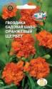 Гвоздика шабо Оранжевый щербет Сед
